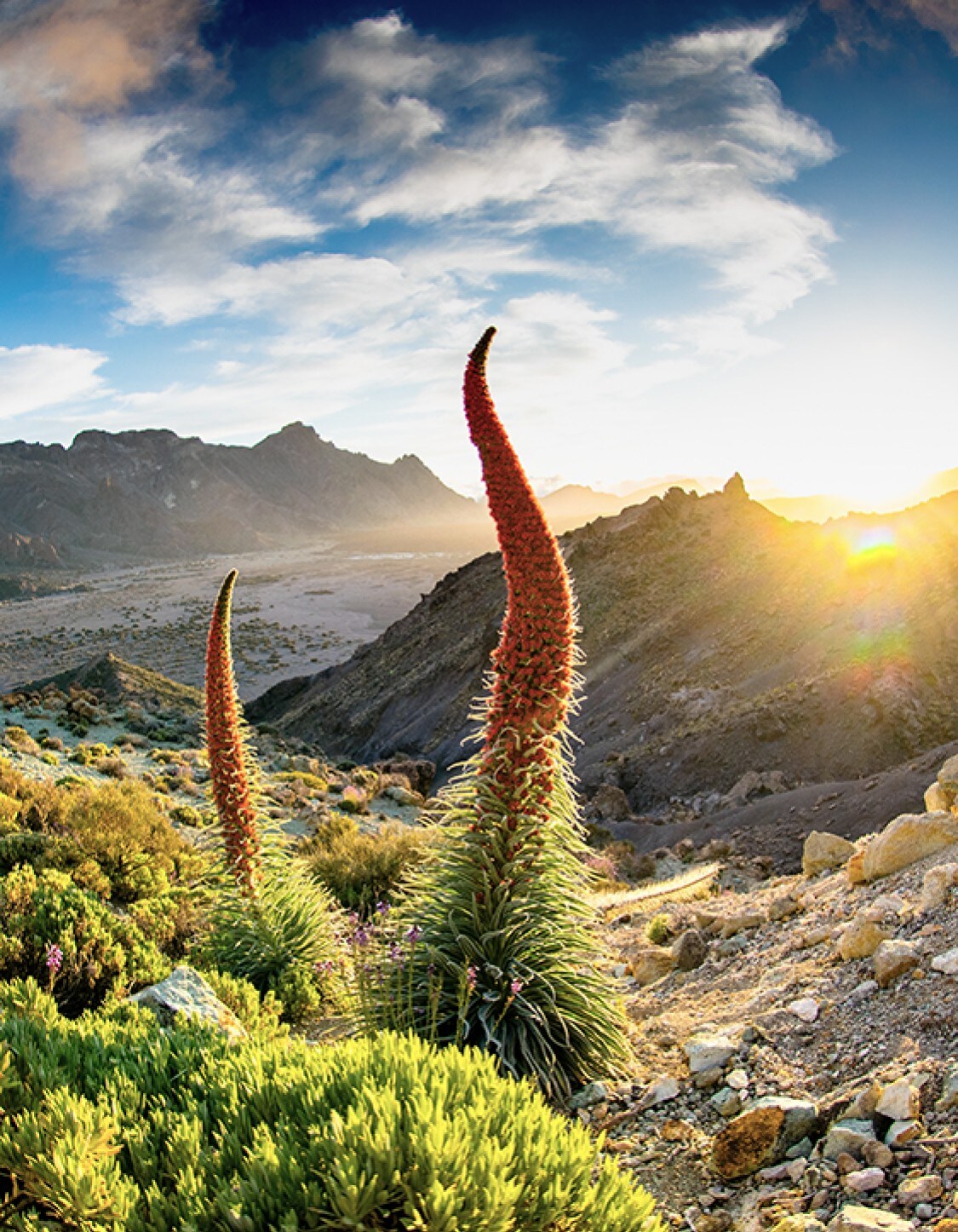 Kreuzfahrten Kanarische Inseln AtlantikUrlaub Costa Kreuzfahrten